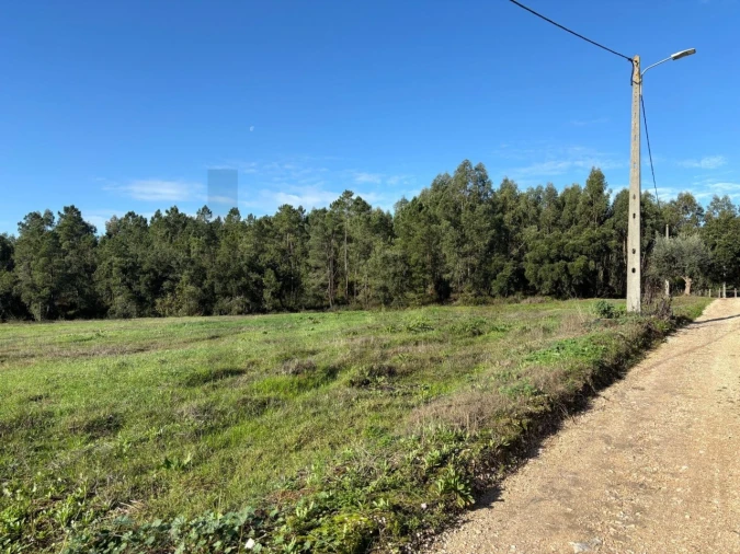 Terreno para Venda em Olalhas Foto 12