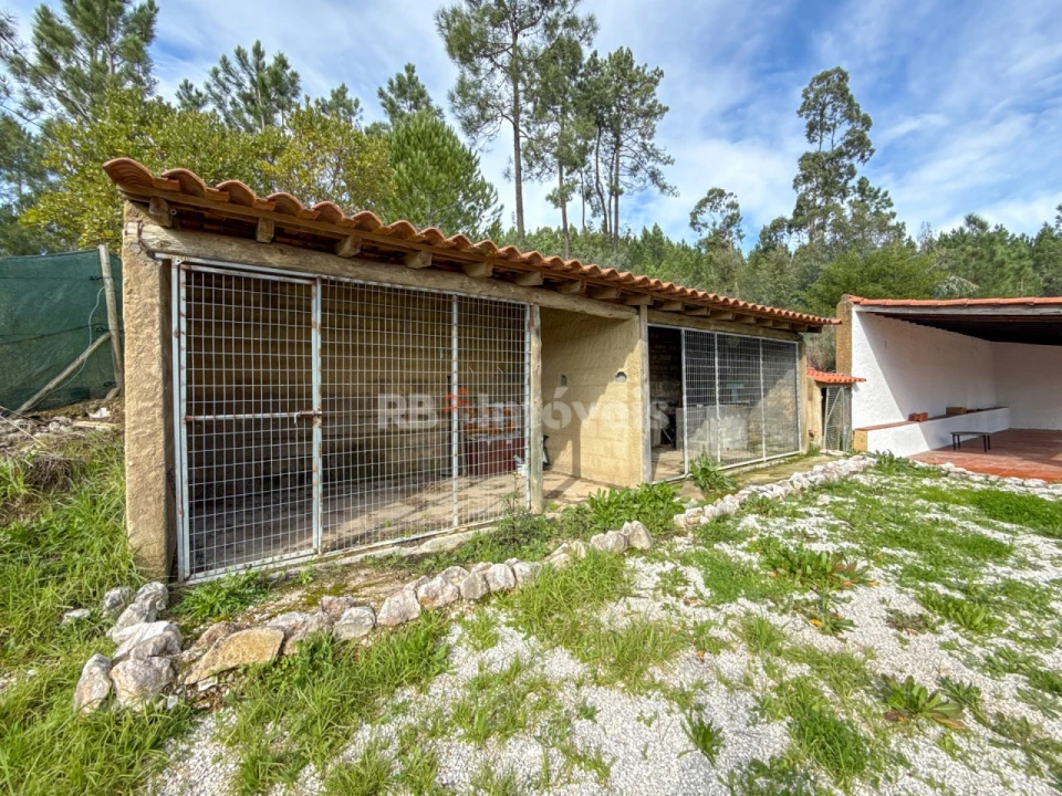 Moradia T3 para Venda em Serra e Junceira Foto 89