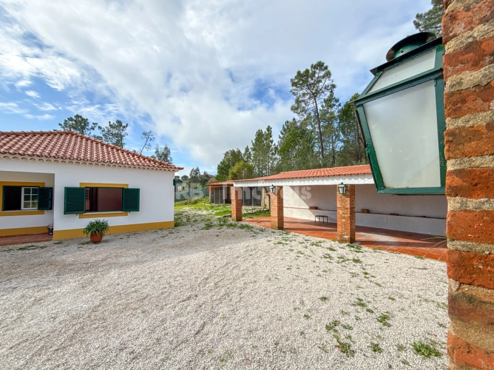 Moradia T3 para Venda em Serra e Junceira Foto 7