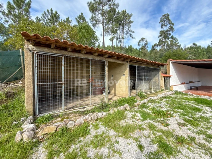 Moradia T3 para Venda em Serra e Junceira Foto 89