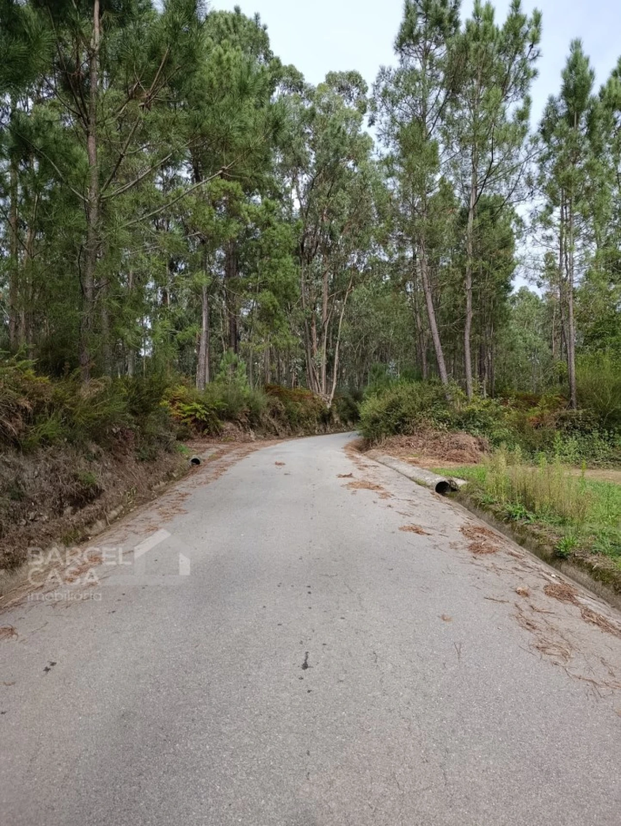 Terreno para Venda em Alheira e Igreja Nova Foto 2