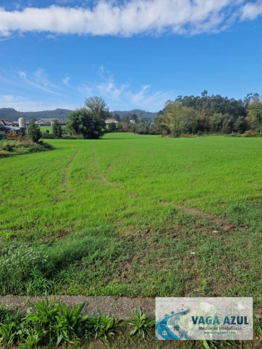 Terreno Agricola ou Rústico para Venda em Muro Foto 1