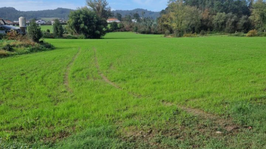 Terreno Agricola ou Rústico para Venda em Muro