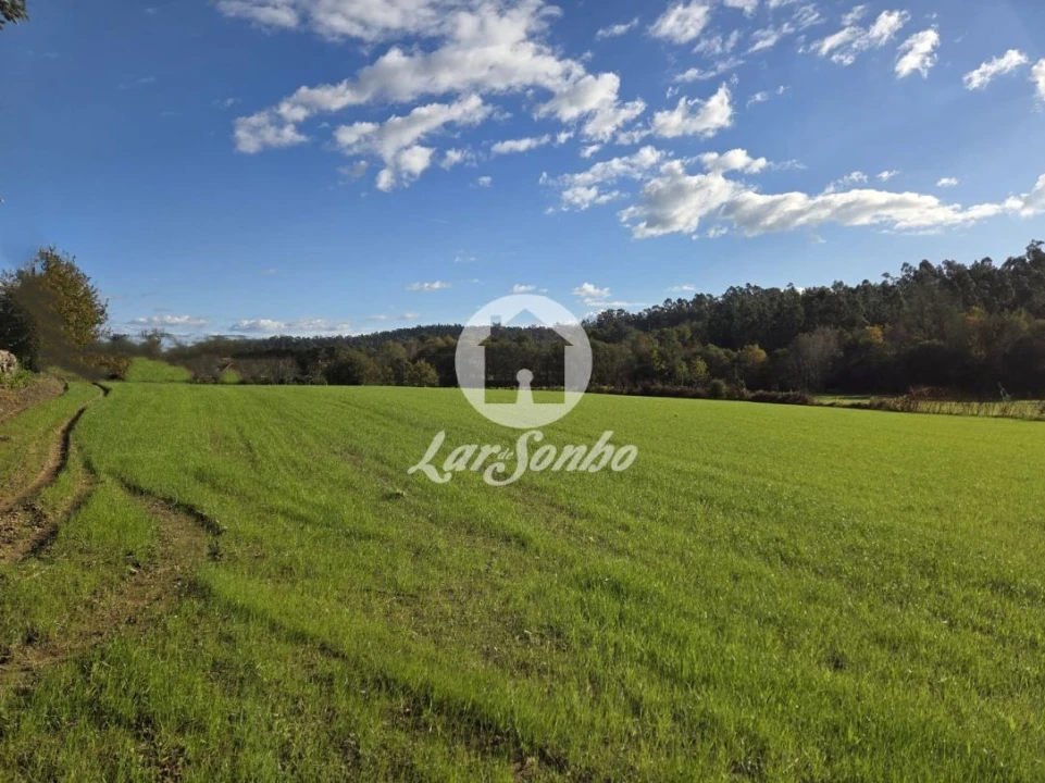 Quinta T4 para Venda em Panque Foto 2