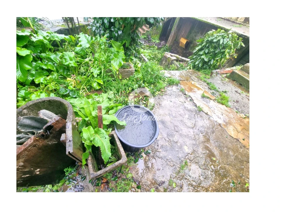 Quinta T4 para Venda em Panque Foto 28