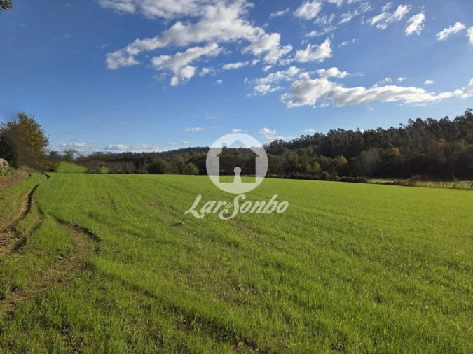 Quinta T4 para Venda em Panque Foto 2