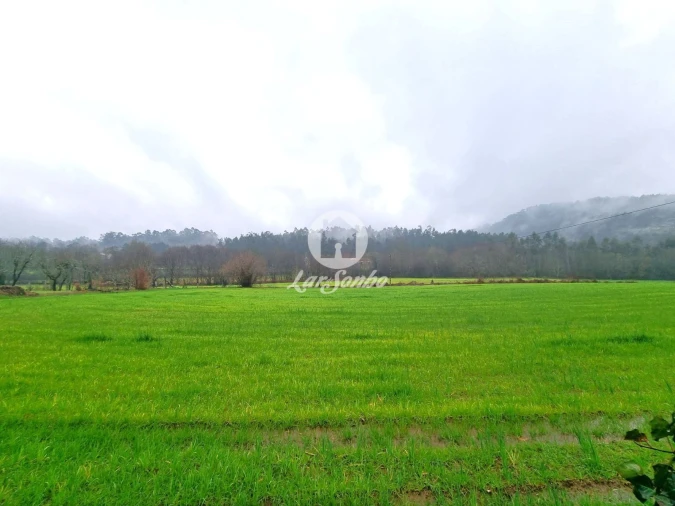 Quinta T4 para Venda em Panque Foto 4