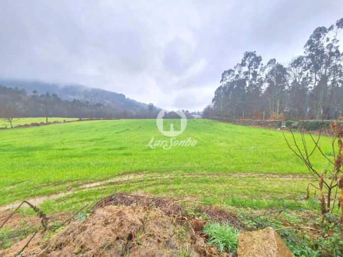 Quinta T4 para Venda em Panque Foto 5