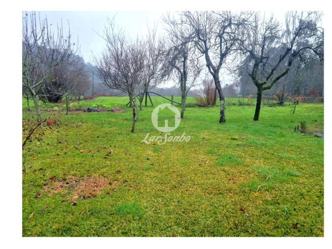 Quinta T4 para Venda em Panque Foto 8