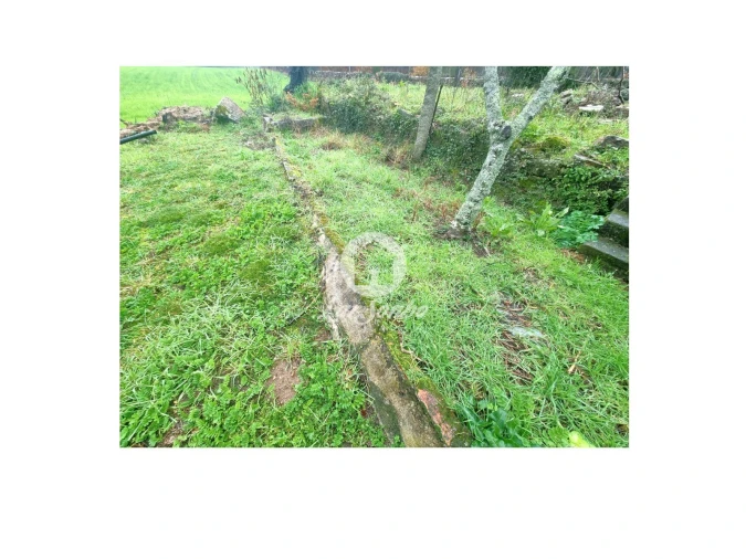 Quinta T4 para Venda em Panque Foto 10