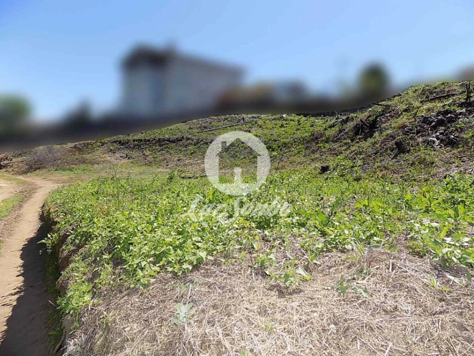 Terreno Agricola ou Rústico para Venda em Vila Nova de Famalicão e Calendário Foto 3