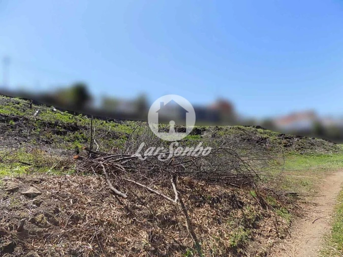 Terreno Agricola ou Rústico para Venda em Vila Nova de Famalicão e Calendário Foto 4