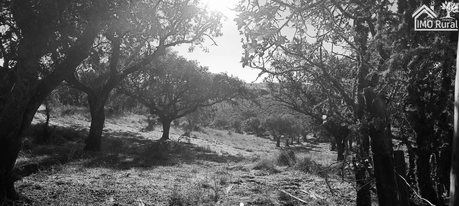 Quinta T1 para Venda em Salvada e Quintos Foto 1