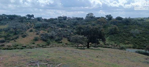 Quinta T1 para Venda em Salvada e Quintos