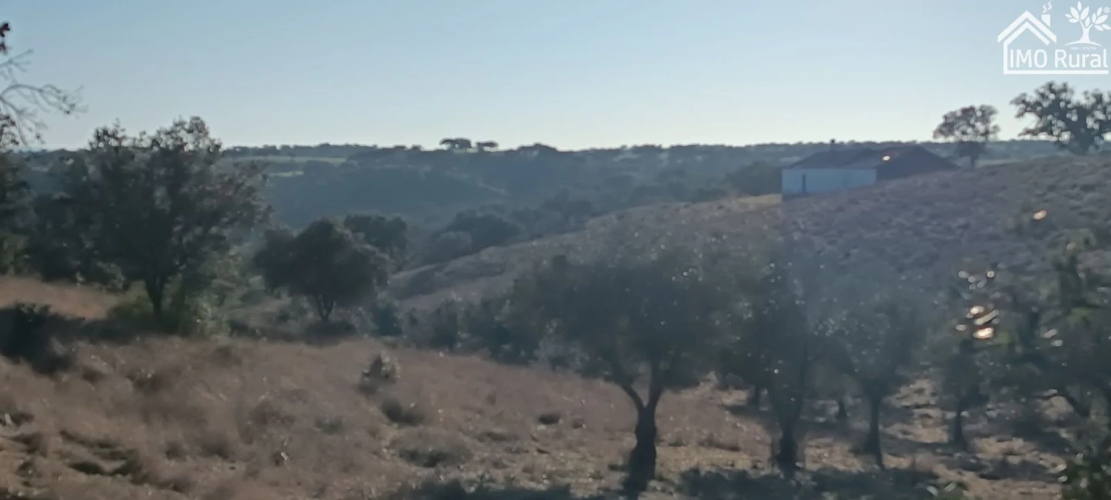 Quinta T1 para Venda em Salvada e Quintos Foto 25