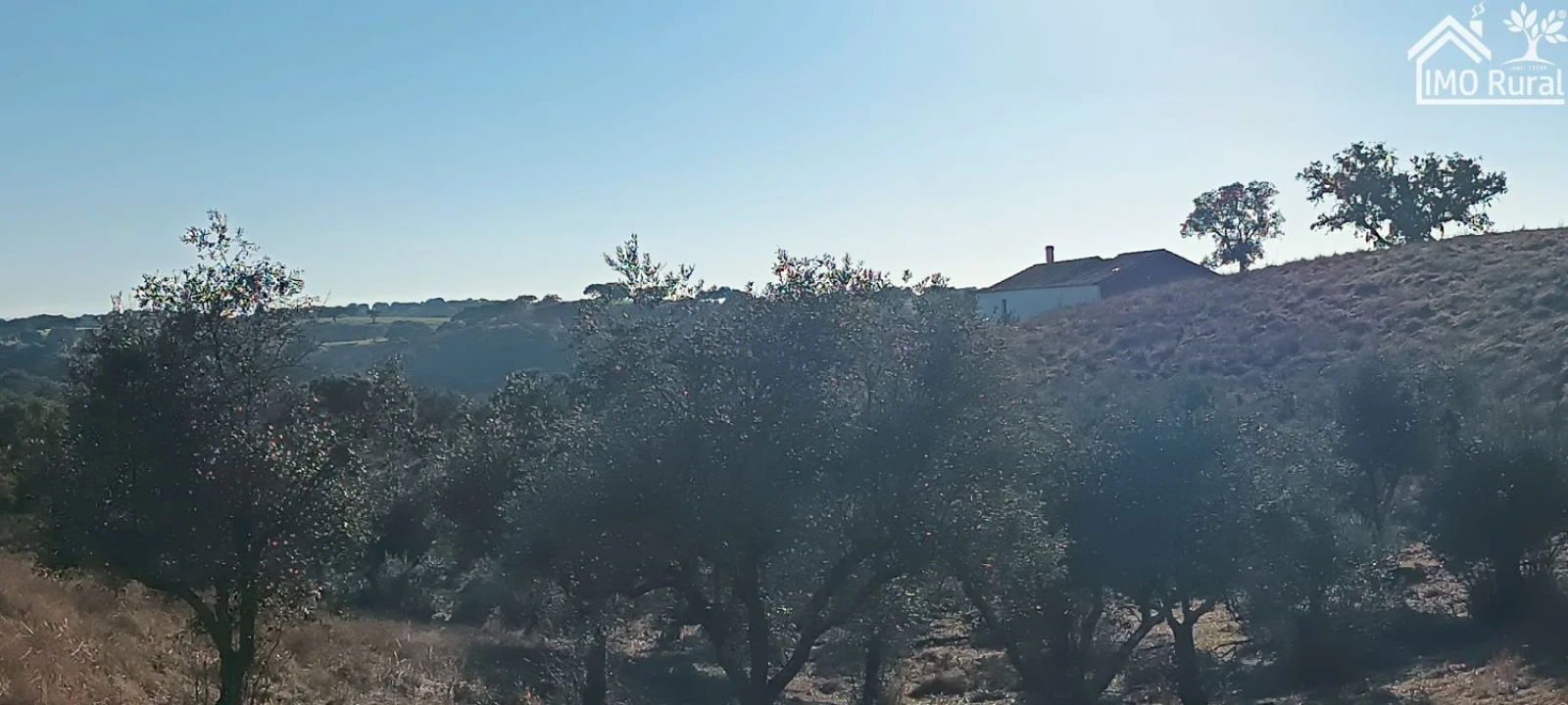 Quinta T1 para Venda em Salvada e Quintos Foto 27