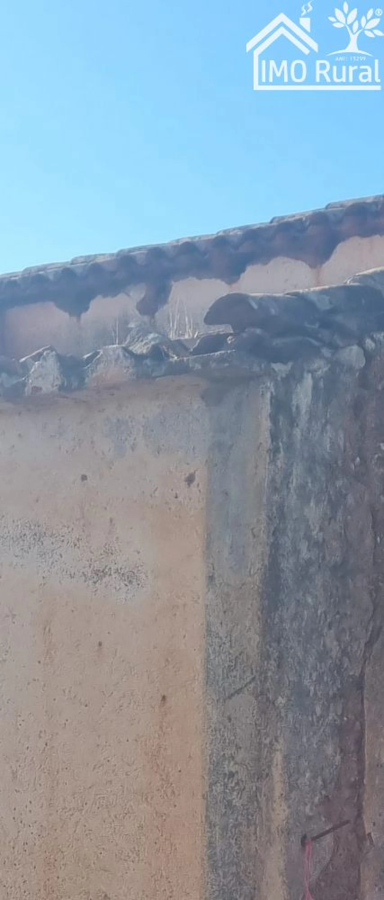 Quinta T1 para Venda em Salvada e Quintos Foto 11