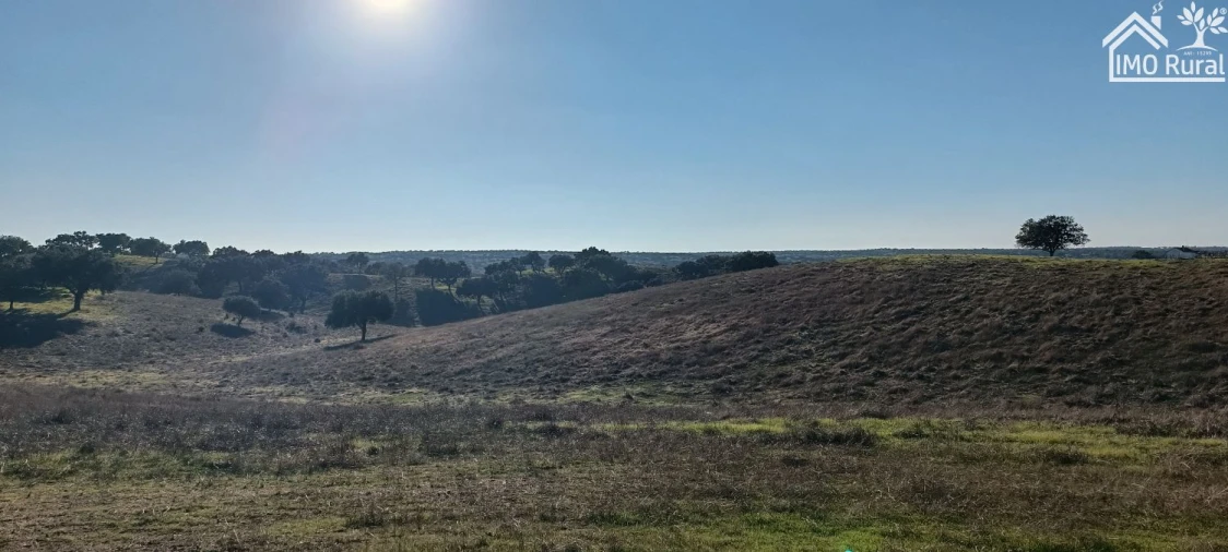 Quinta T1 para Venda em Salvada e Quintos Foto 21