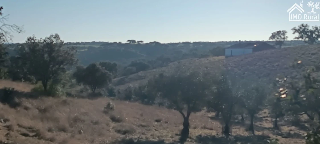 Quinta T1 para Venda em Salvada e Quintos Foto 25