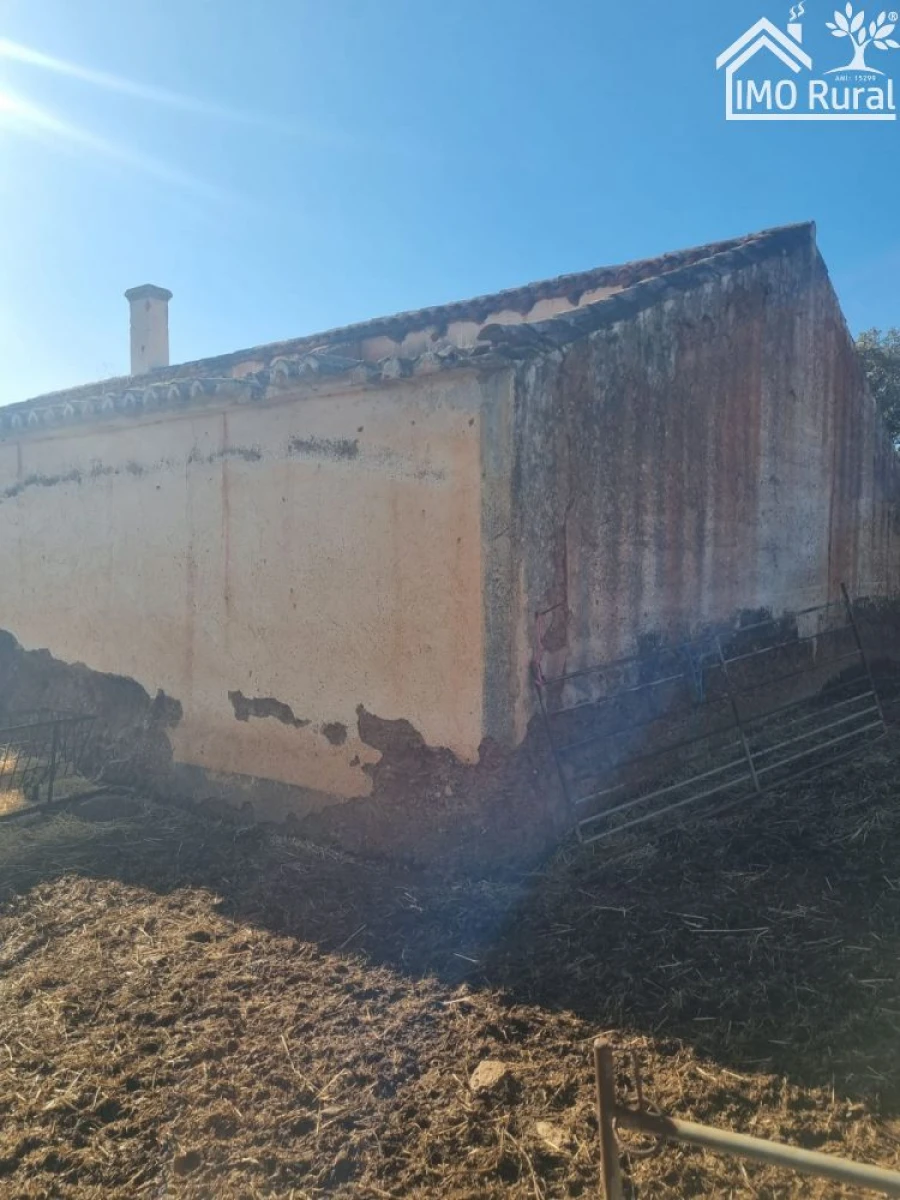 Quinta T1 para Venda em Salvada e Quintos Foto 4