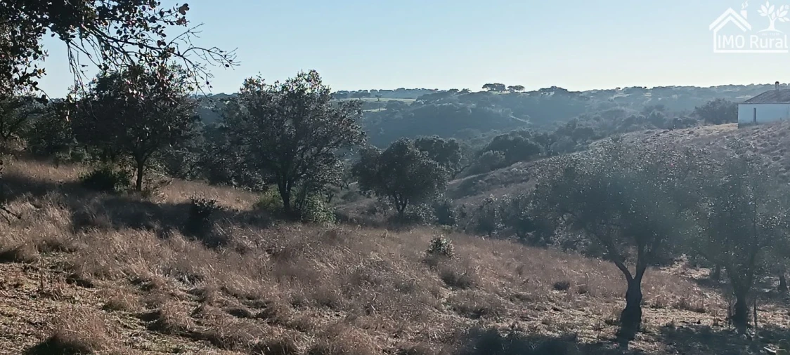 Quinta T1 para Venda em Salvada e Quintos Foto 25