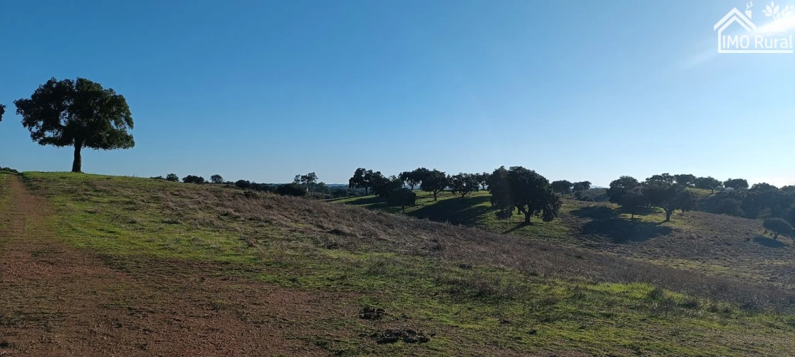 Quinta T1 para Venda em Salvada e Quintos Foto 23