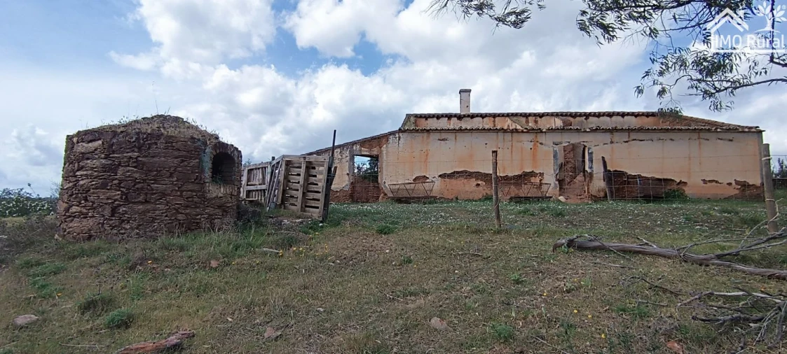 Quinta T1 para Venda em Salvada e Quintos Foto 2