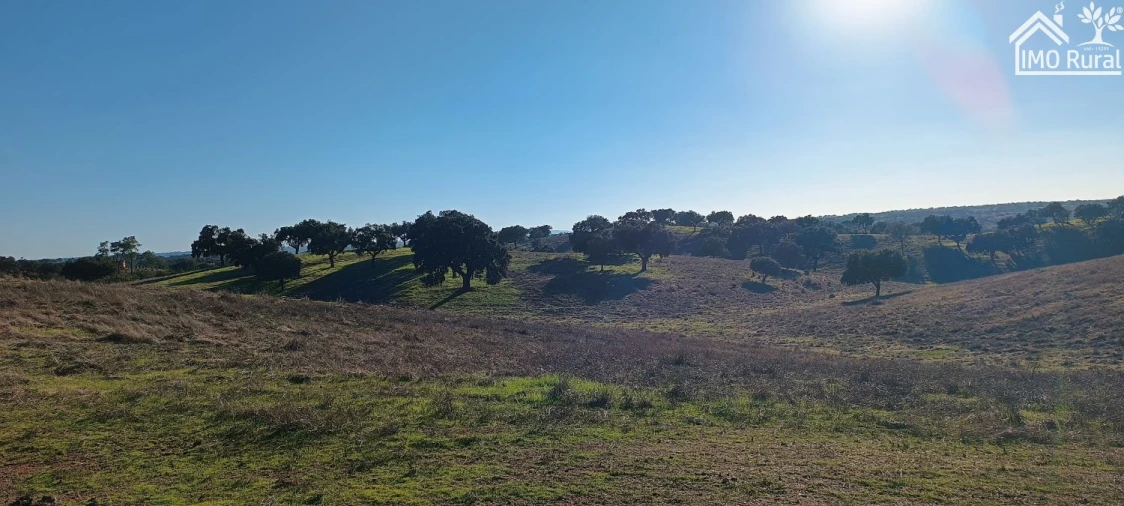Quinta T1 para Venda em Salvada e Quintos Foto 18