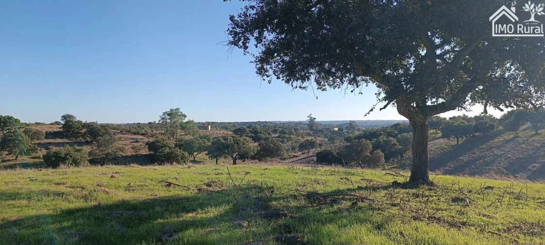 Quinta T1 para Venda em Salvada e Quintos Foto 2