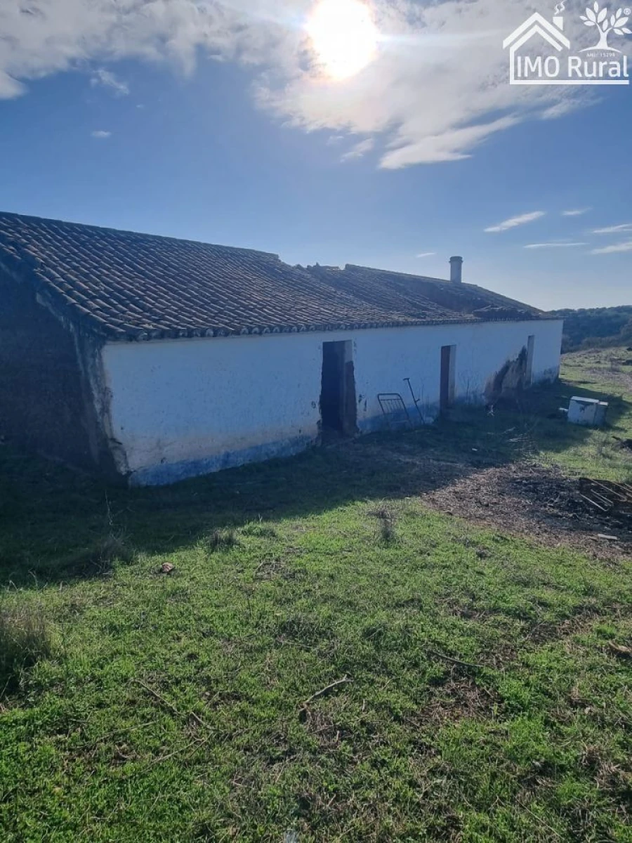 Quinta T1 para Venda em Salvada e Quintos Foto 16