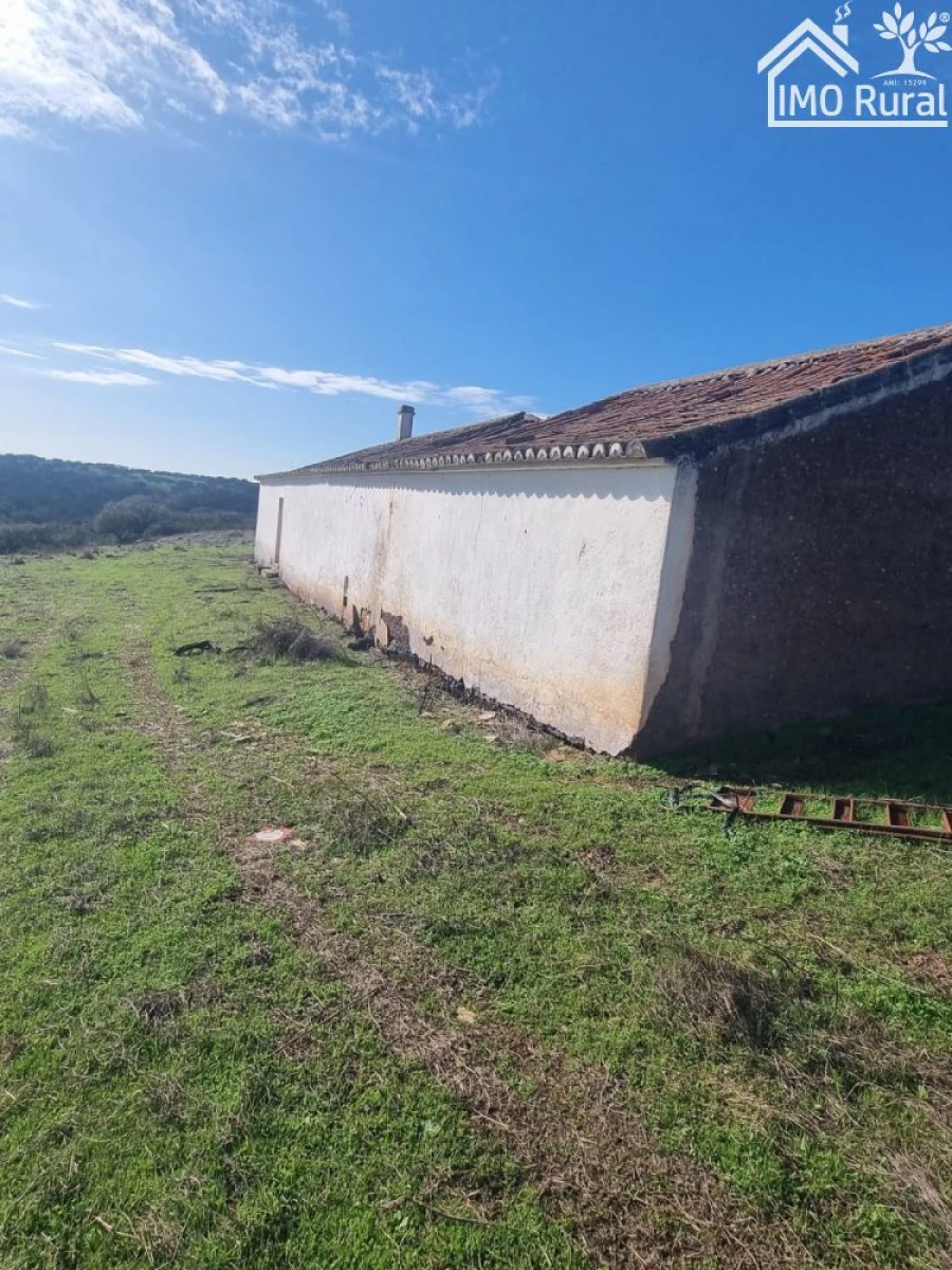 Quinta T1 para Venda em Salvada e Quintos Foto 15