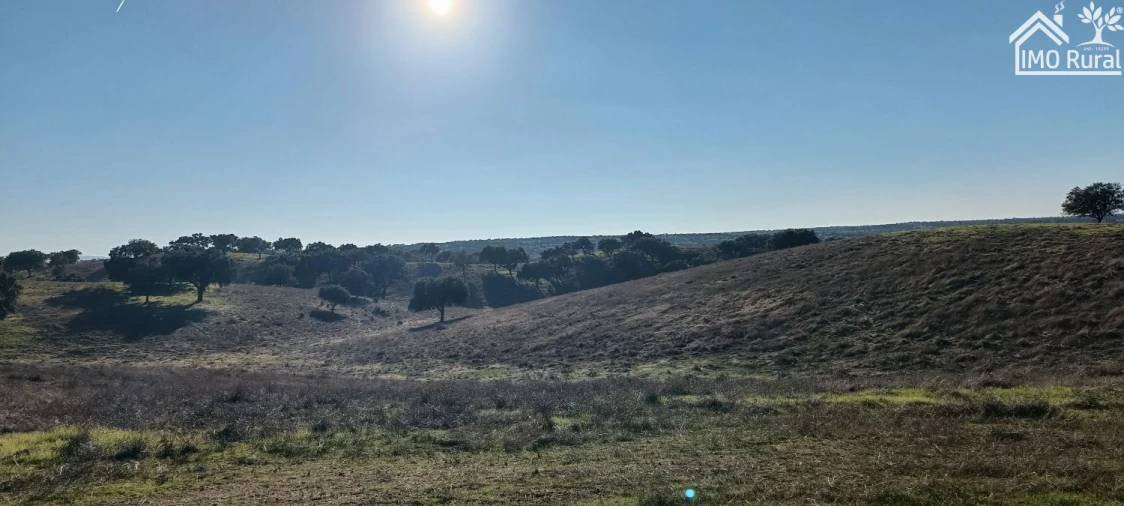 Quinta T1 para Venda em Salvada e Quintos Foto 19
