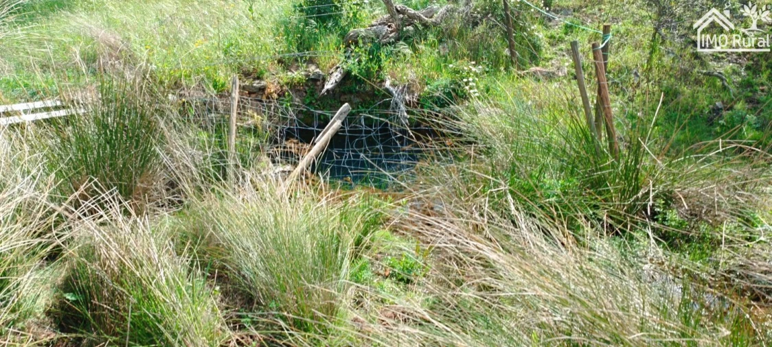 Quinta T1 para Venda em Salvada e Quintos Foto 35