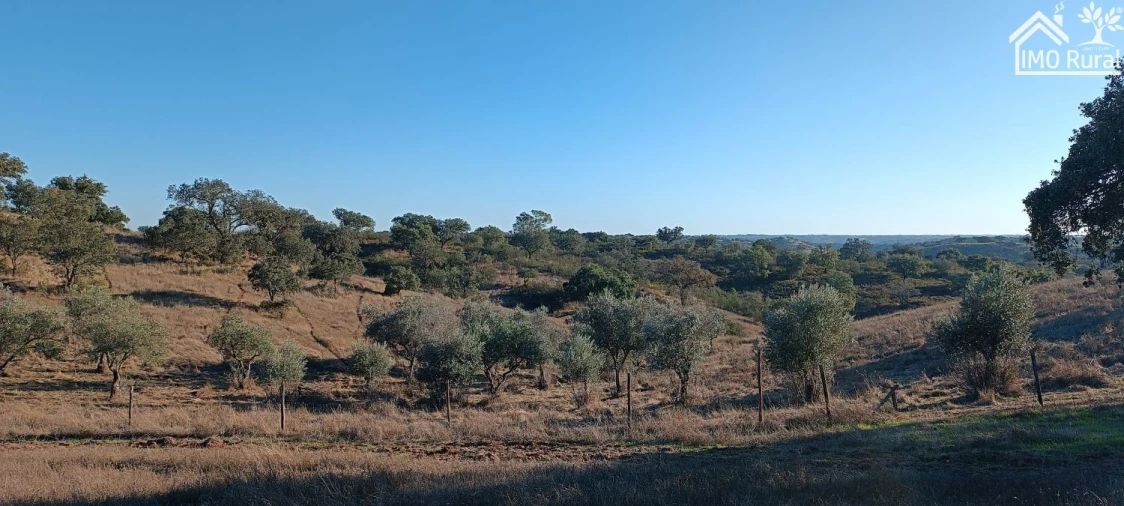 Quinta T1 para Venda em Salvada e Quintos Foto 28