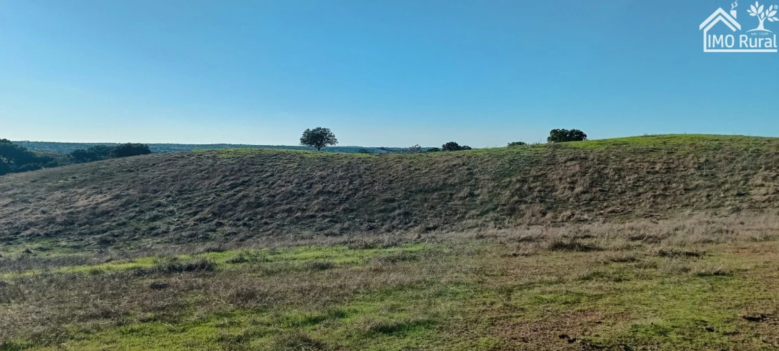 Quinta T1 para Venda em Salvada e Quintos Foto 20