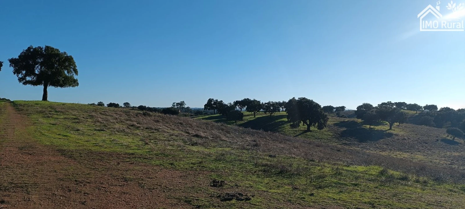 Quinta T1 para Venda em Salvada e Quintos Foto 23