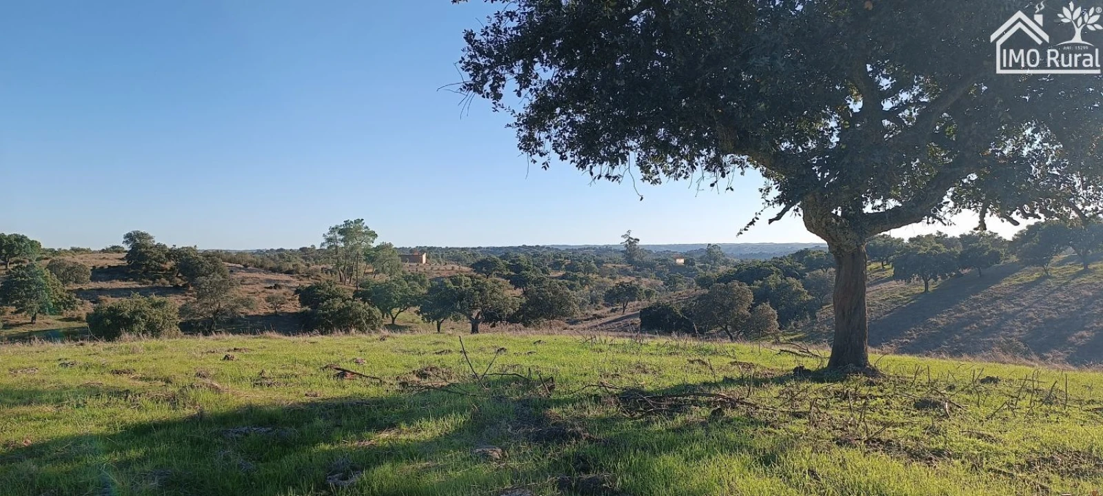 Quinta T1 para Venda em Salvada e Quintos Foto 2