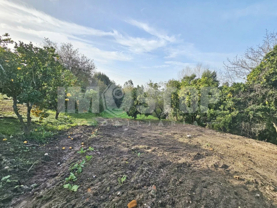 Moradia T1 para Venda em Trofa, Segadães e Lamas do Vouga Foto 21