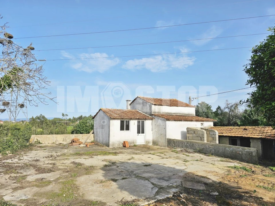 Moradia T1 para Venda em Trofa, Segadães e Lamas do Vouga Foto 32