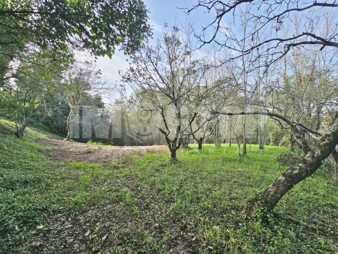 Moradia T1 para Venda em Trofa, Segadães e Lamas do Vouga Foto 26