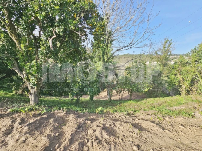 Moradia T1 para Venda em Trofa, Segadães e Lamas do Vouga Foto 24