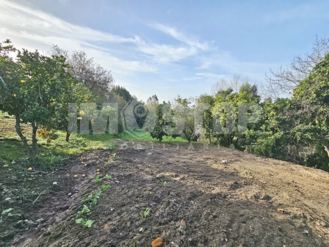 Moradia T1 para Venda em Trofa, Segadães e Lamas do Vouga Foto 21