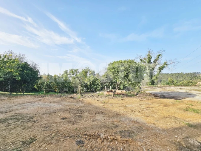 Moradia T1 para Venda em Trofa, Segadães e Lamas do Vouga Foto 15