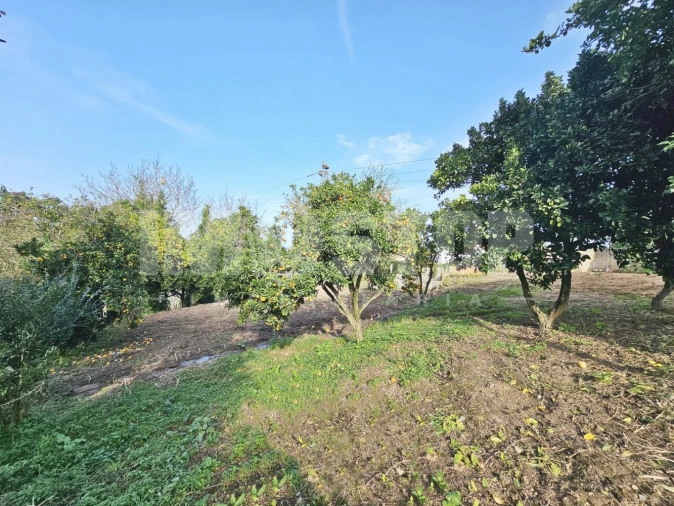 Moradia T1 para Venda em Trofa, Segadães e Lamas do Vouga Foto 19