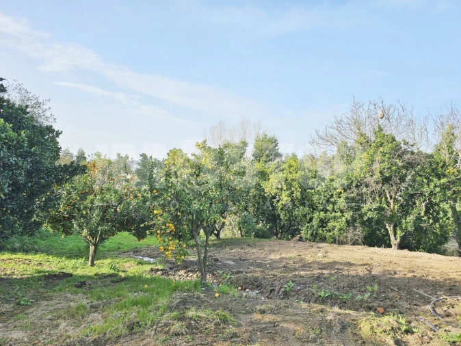 Moradia T1 para Venda em Trofa, Segadães e Lamas do Vouga Foto 16