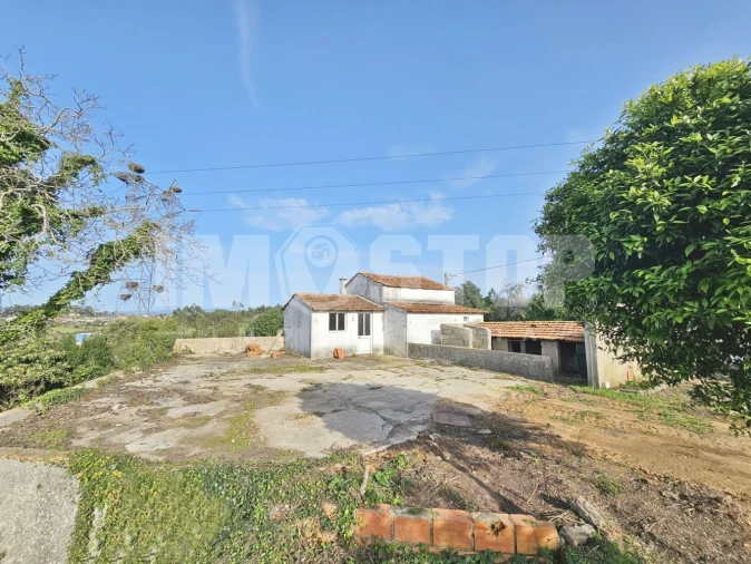 Moradia T1 para Venda em Trofa, Segadães e Lamas do Vouga Foto 31