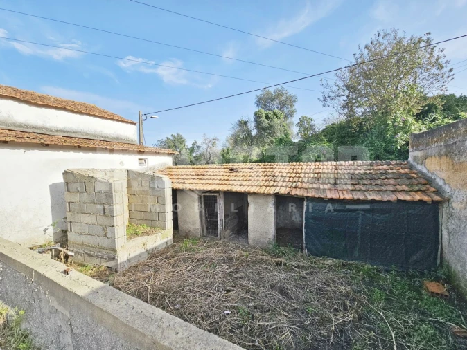 Moradia T1 para Venda em Trofa, Segadães e Lamas do Vouga Foto 4
