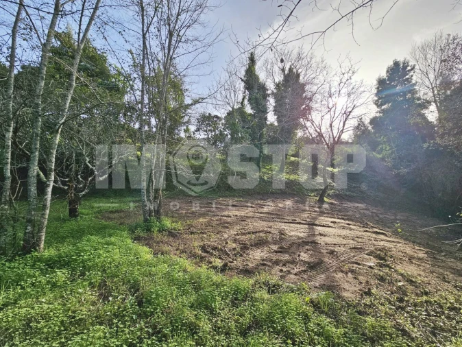 Moradia T1 para Venda em Trofa, Segadães e Lamas do Vouga Foto 28