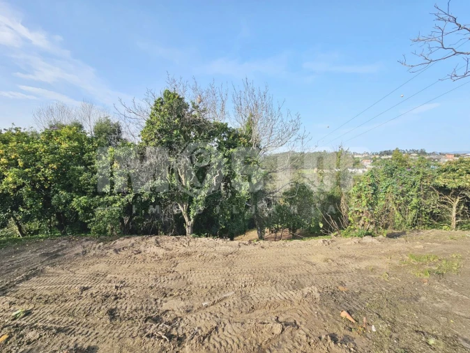 Moradia T1 para Venda em Trofa, Segadães e Lamas do Vouga Foto 22