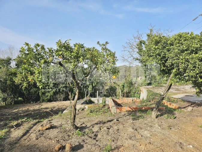 Moradia T1 para Venda em Trofa, Segadães e Lamas do Vouga Foto 14